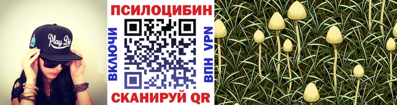даркнет какой сайт блэк спрут вход Норильск Галлюциногенные грибы мицелий