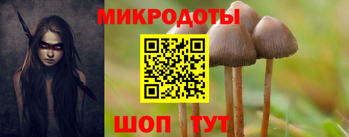 Псилоцибиновые грибы ЛСД Норильск